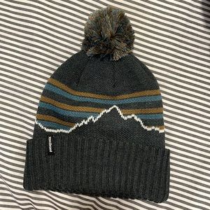 Patagonia powder town beanie NWOT